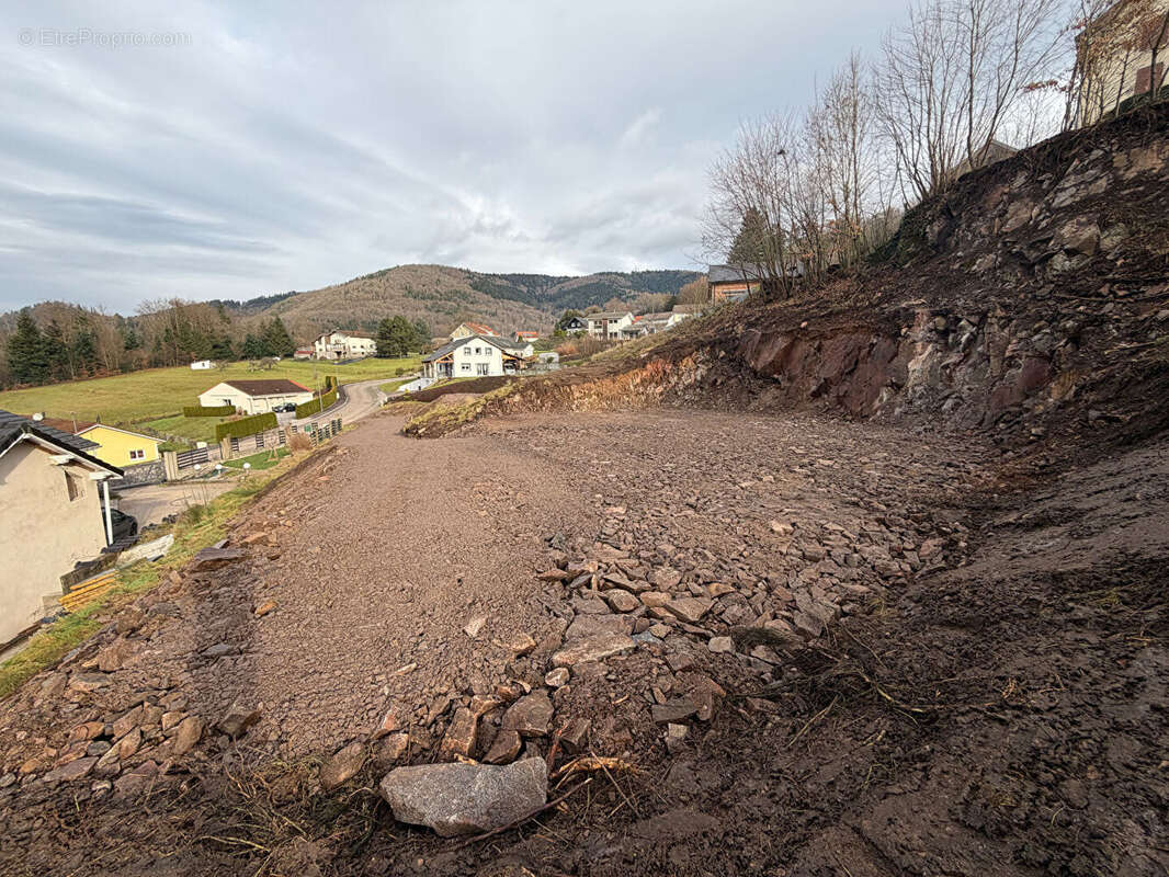 Terrain à RUPT-SUR-MOSELLE