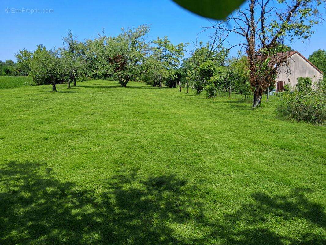 Terrain Carisey 1100 m2 - photo 2