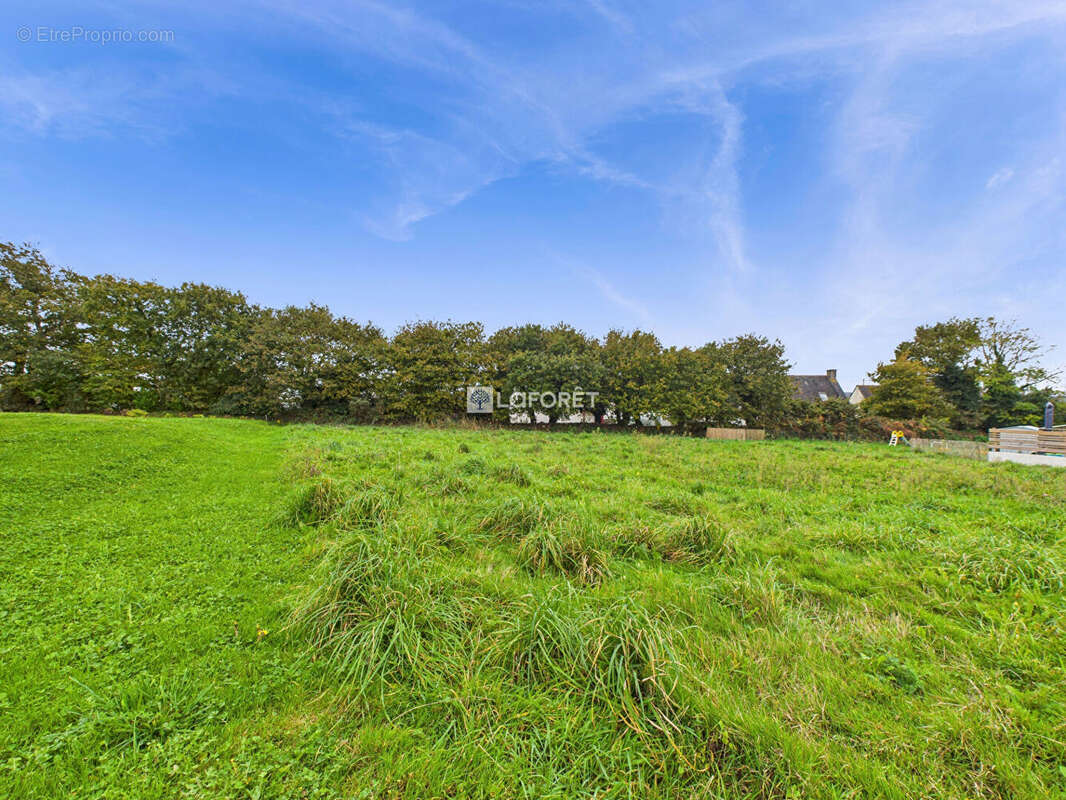 Terrain à SAINT-SEGAL