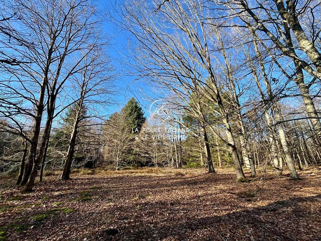 Maison à RAMBOUILLET