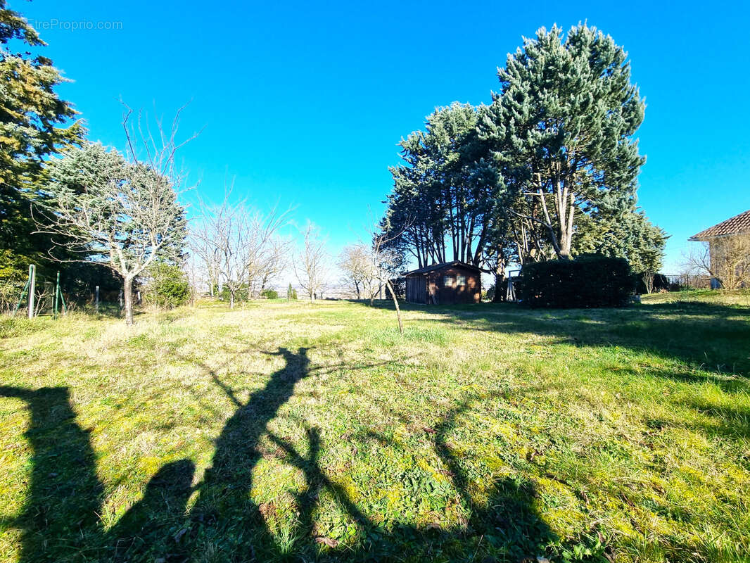 Terrain à CASTANET-TOLOSAN