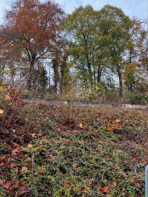 Maison à CIRES-LES-MELLO