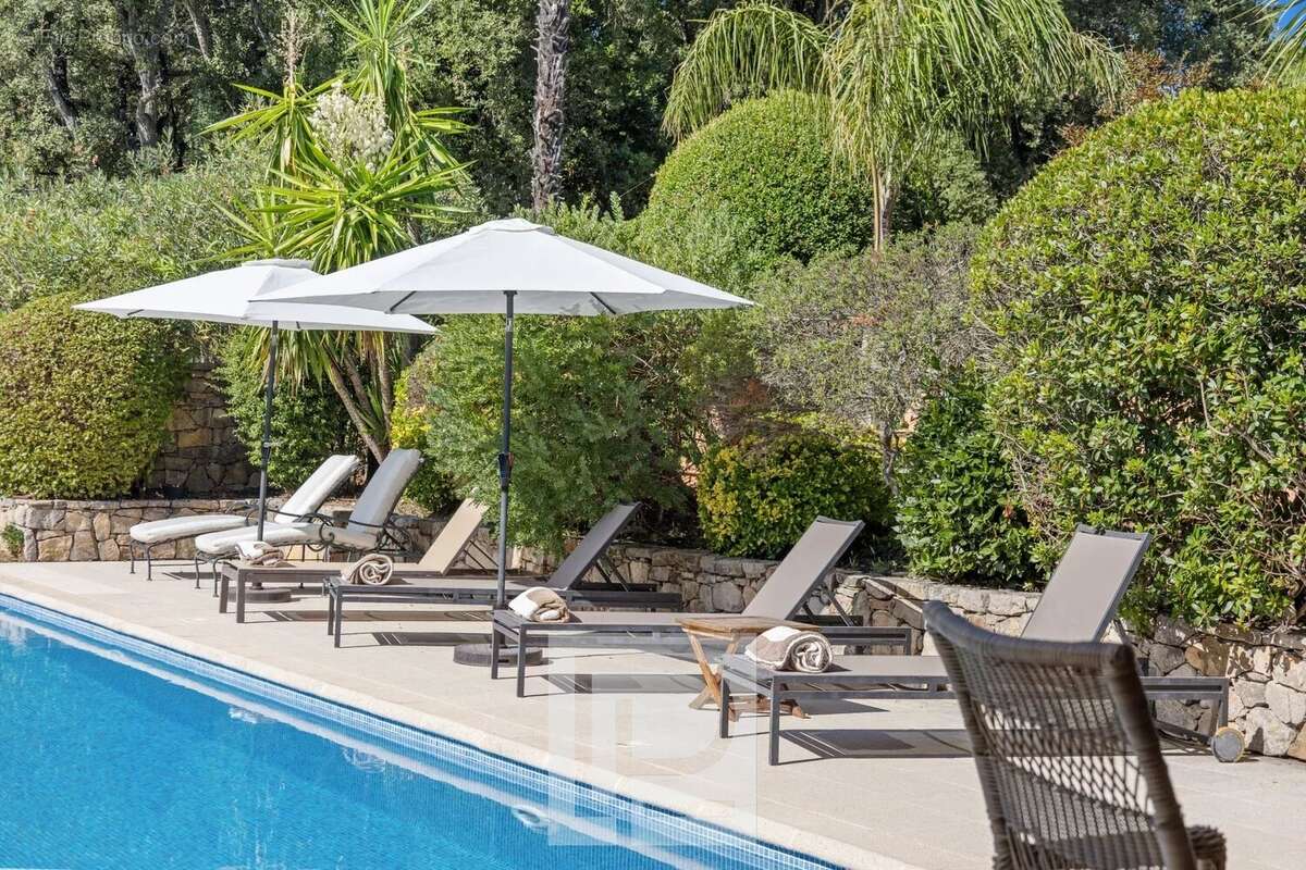 Superbe propriété de charme au calme absolu avec tennis – Aux portes de Mougins - photo 8