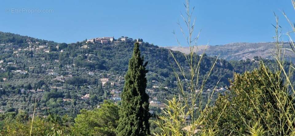 Terrain à CHATEAUNEUF-GRASSE