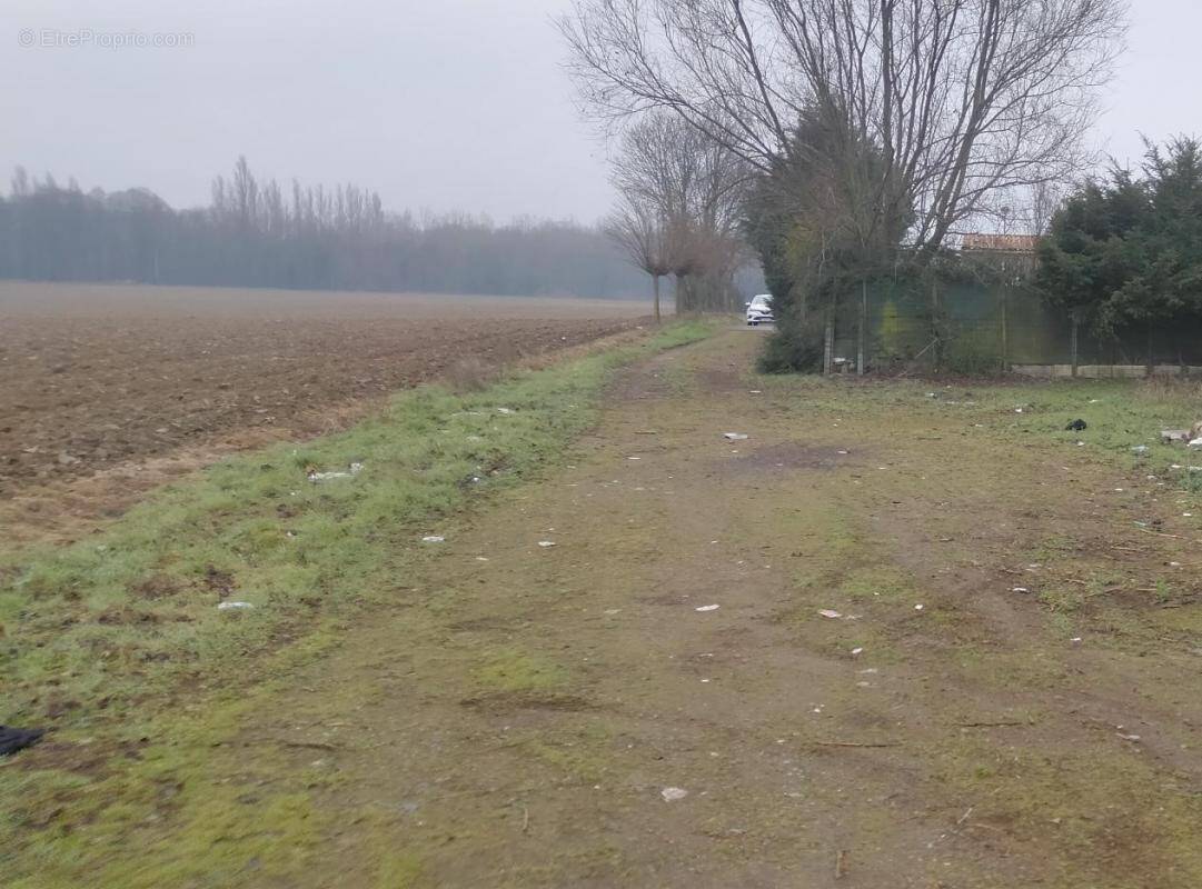 Terrain à NOYELLES-SOUS-LENS