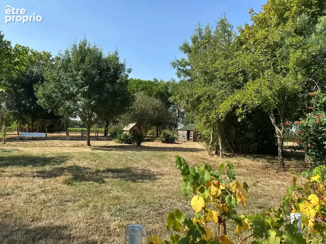 Propriété 258m² - photo 5