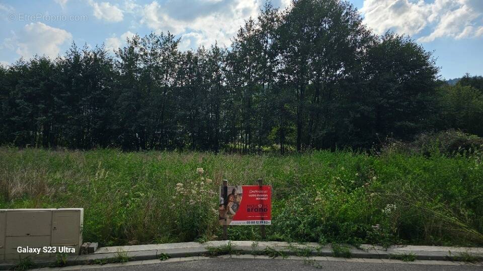 Terrain 492 m² à Lutzelhouse · 88 560 €