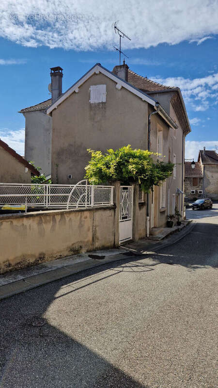 Grande maison de ville avec garage à Trept - photo 2