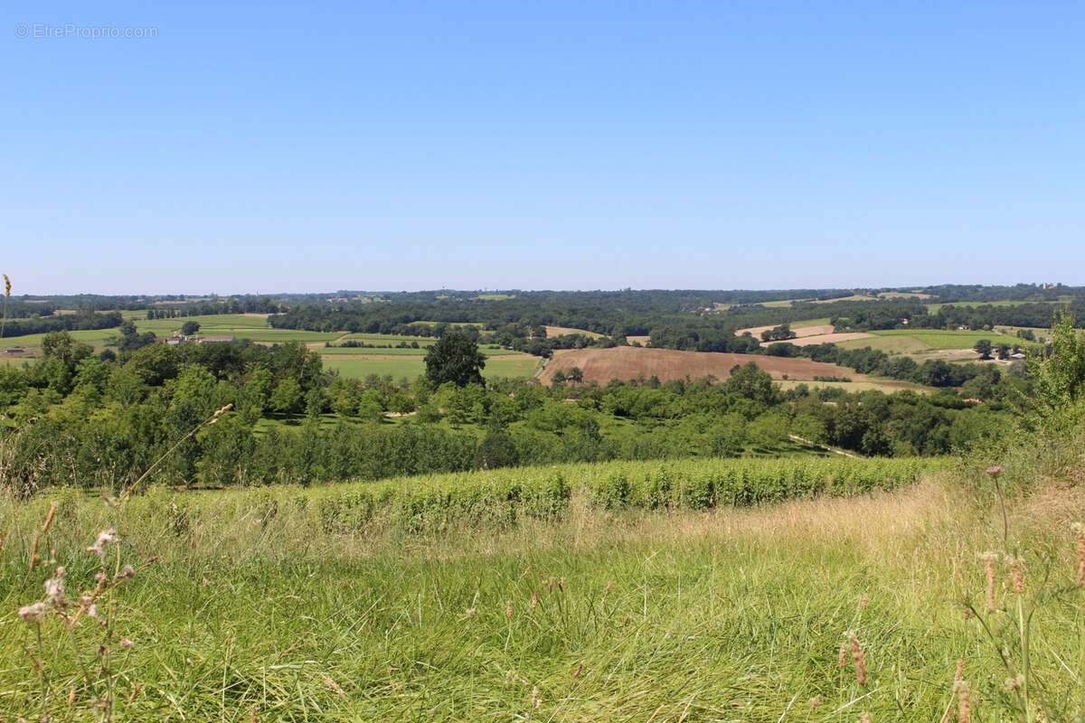 Maison à LAGRAULET-DU-GERS