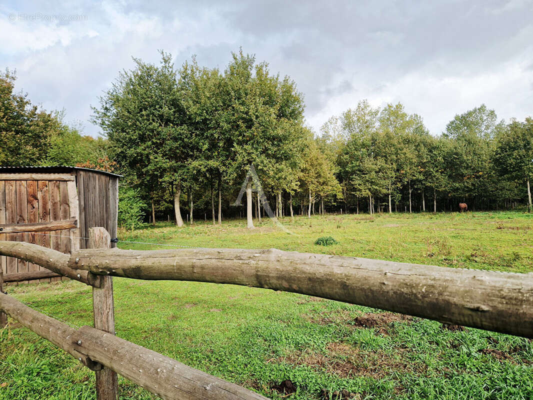 Maison à BEAUFORT-EN-VALLEE