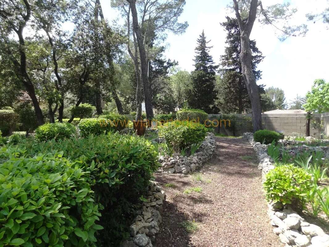 Maison à SAINT-CLEMENT-DE-RIVIERE