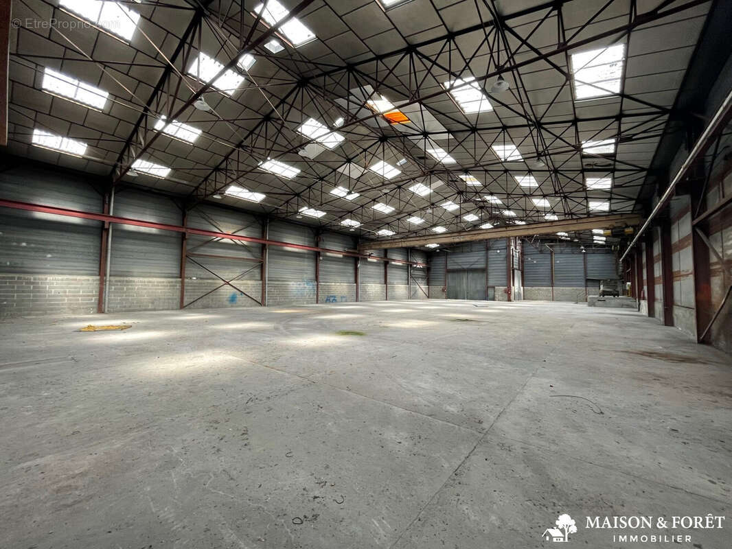 Commerce à CHAMPOULET