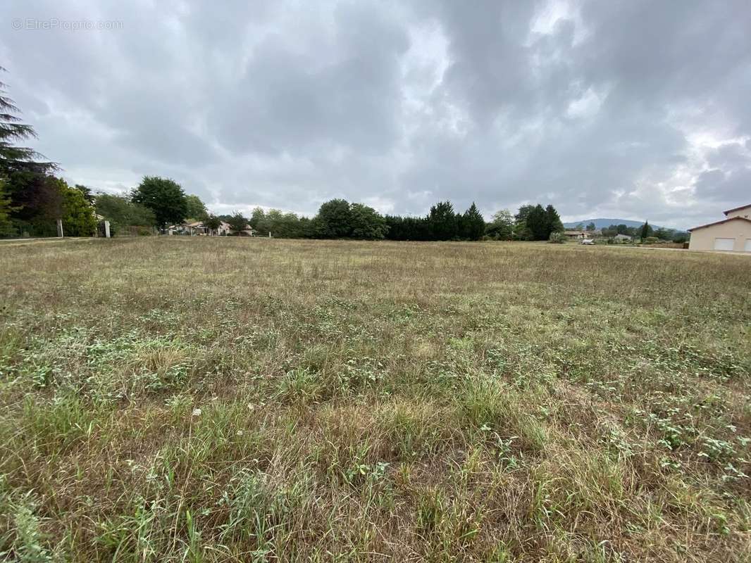 Terrain à SAINT-MARTORY