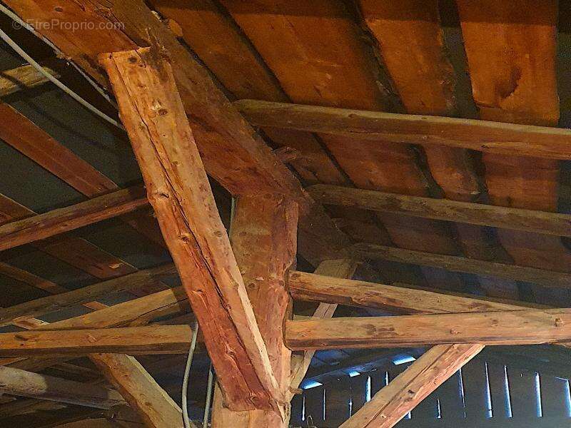 Maison à ARACHES-LA-FRASSE