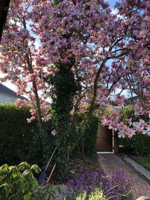 Maison à GUEBENHOUSE