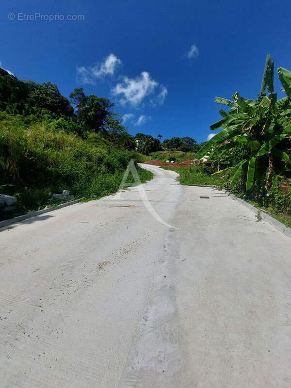 Terrain à FORT-DE-FRANCE