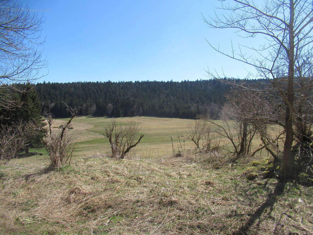 Maison en pierres avec terrain attenant - photo 5