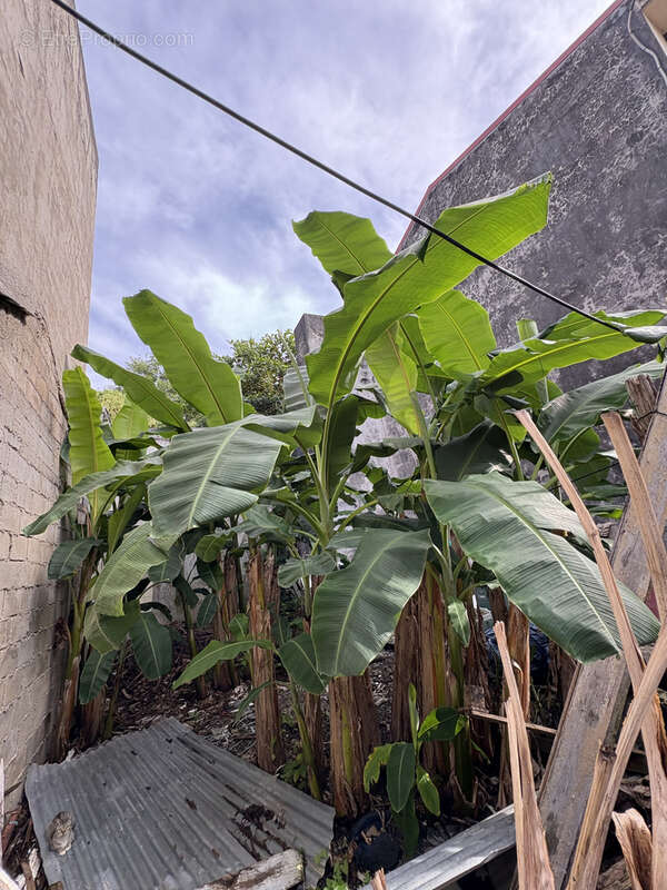 Terrain à POINTE-A-PITRE