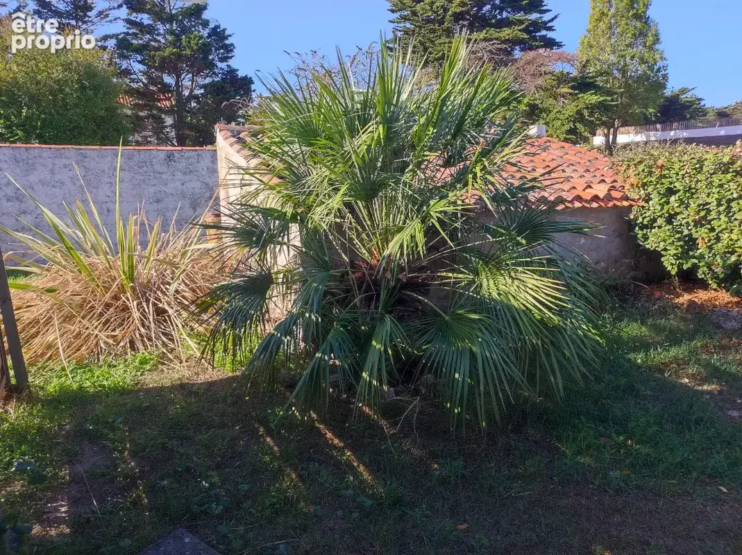 La gueriniere - ref 2630 - photo 8