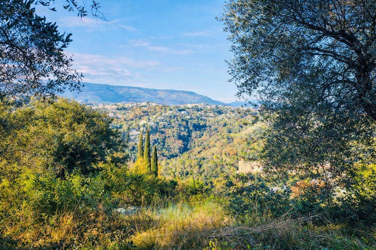 Terrain à COLOMARS