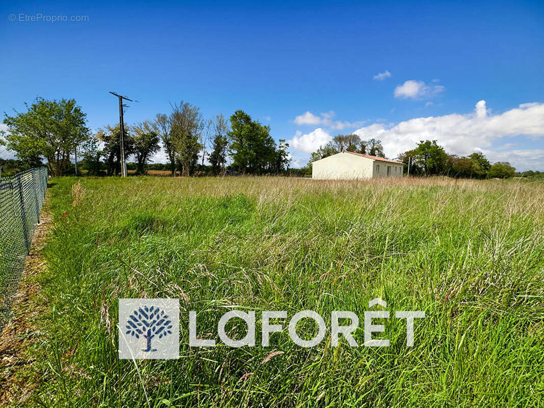 Terrain à SAINT-QUANTIN-DE-RANCANNE