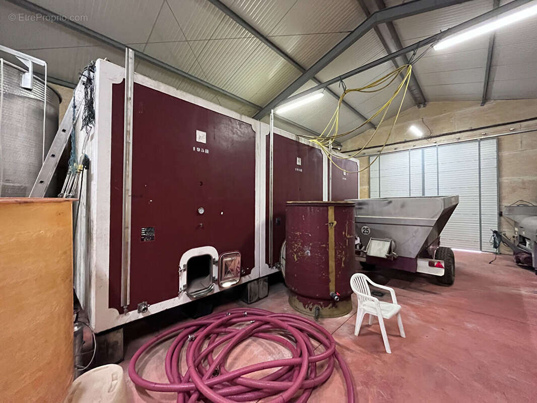 Terrain à SAINT-ANDRE-DE-SANGONIS