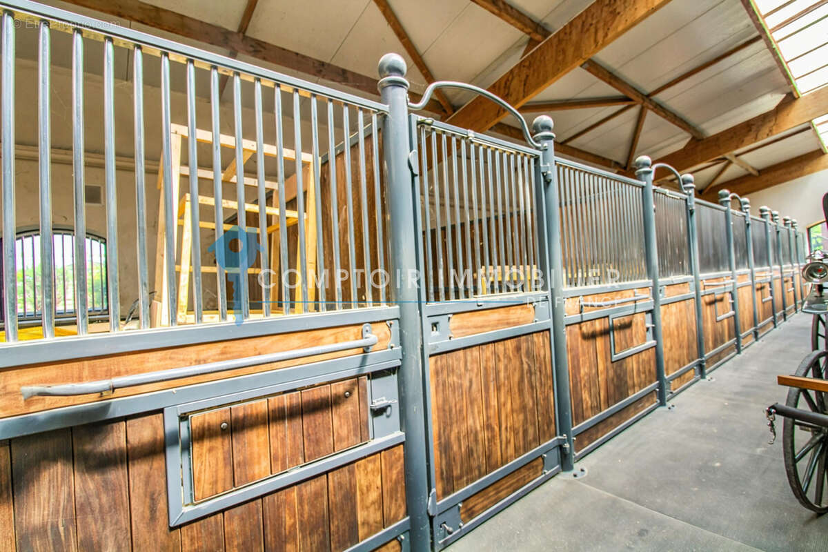 A vendre Dpt Eure (27) Propriété Equestre - A moins d'1 heure de Paris sur parc d'environ 2,6 ha - photo 8