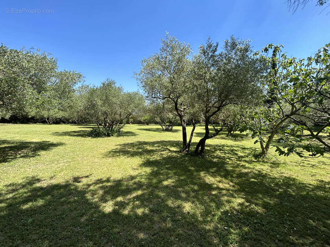 Maison à MONTAREN-ET-SAINT-MEDIERS