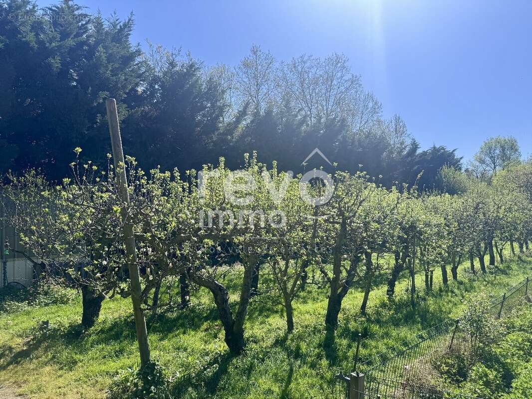 Maison à MONTREUIL-JUIGNE