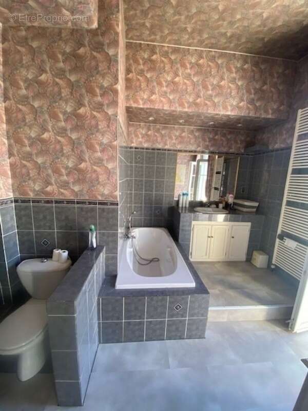 Maison à DECAZEVILLE