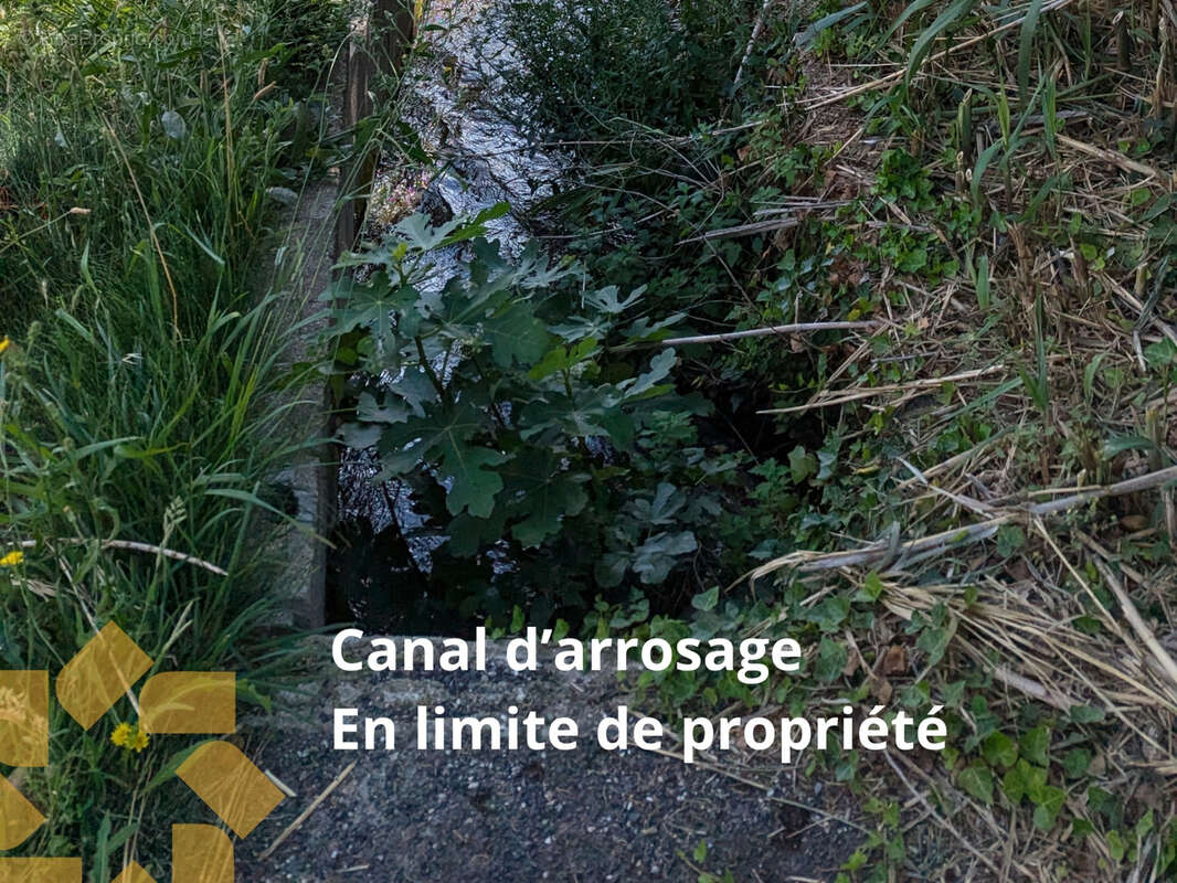 Terrain à PEZILLA-LA-RIVIERE