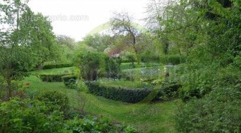 Commerce à CARCASSONNE