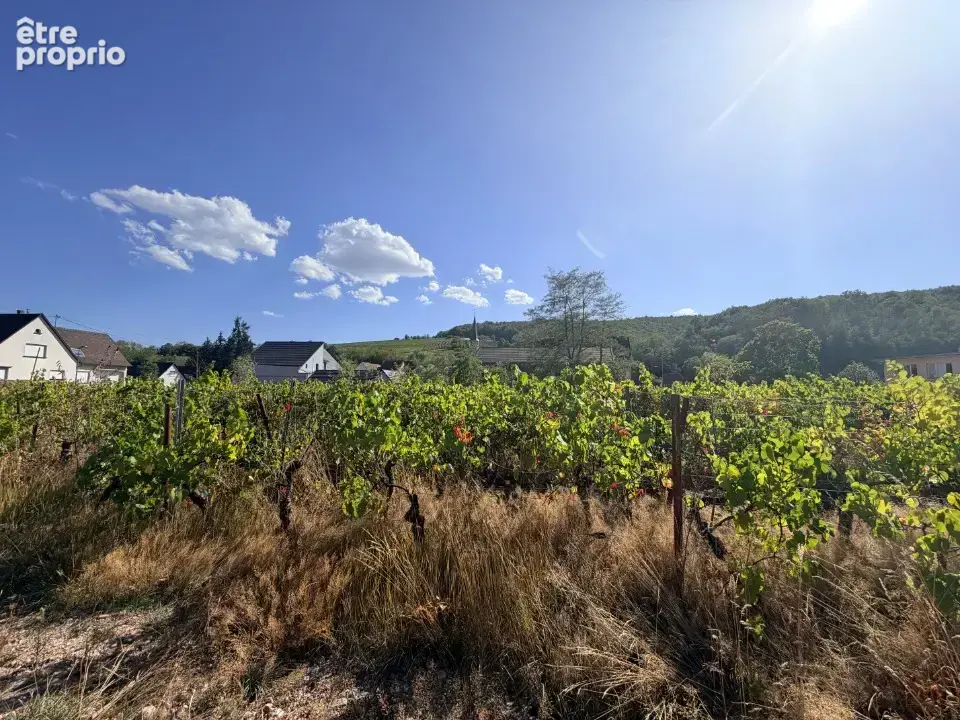Terrain 452 m² à vendre à Andlau (67140) - photo 2