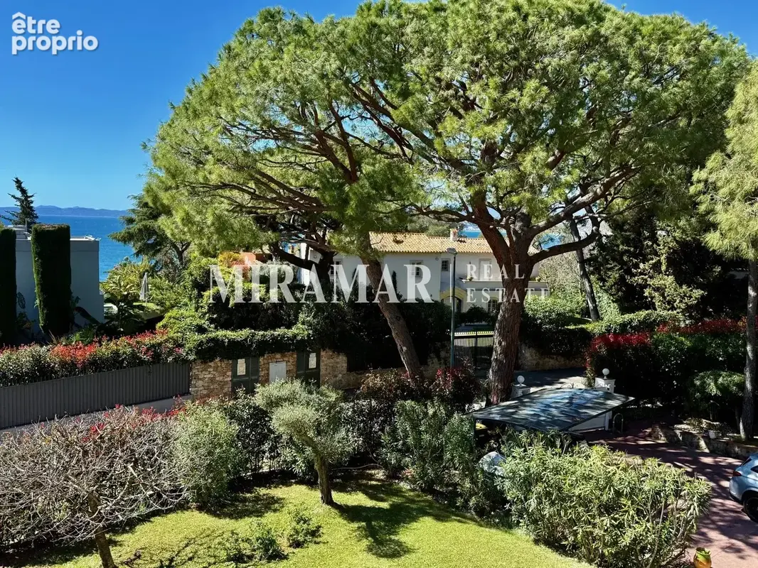 Exclusivité Dernier Etage Saint Jean Cap Ferrat - photo 12