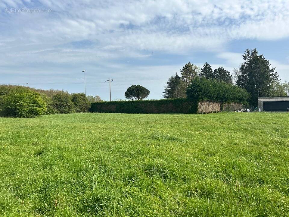 Terrain 590 m² à Richebourg  - photo 1