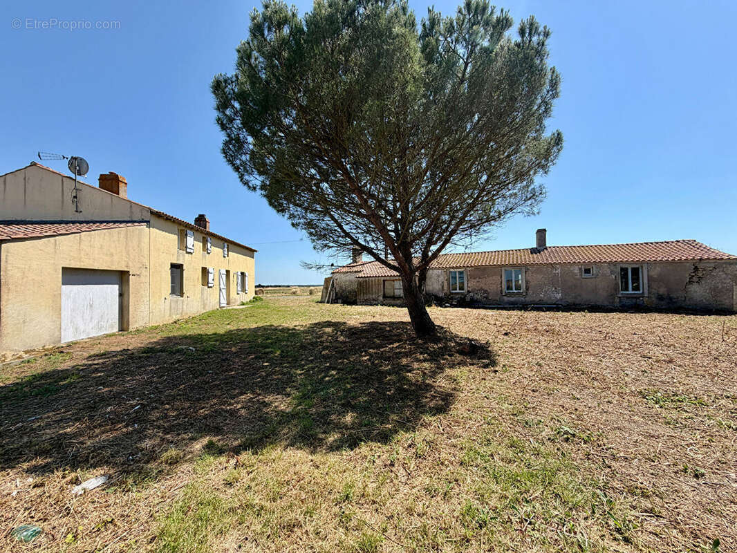 Maison à BOUIN