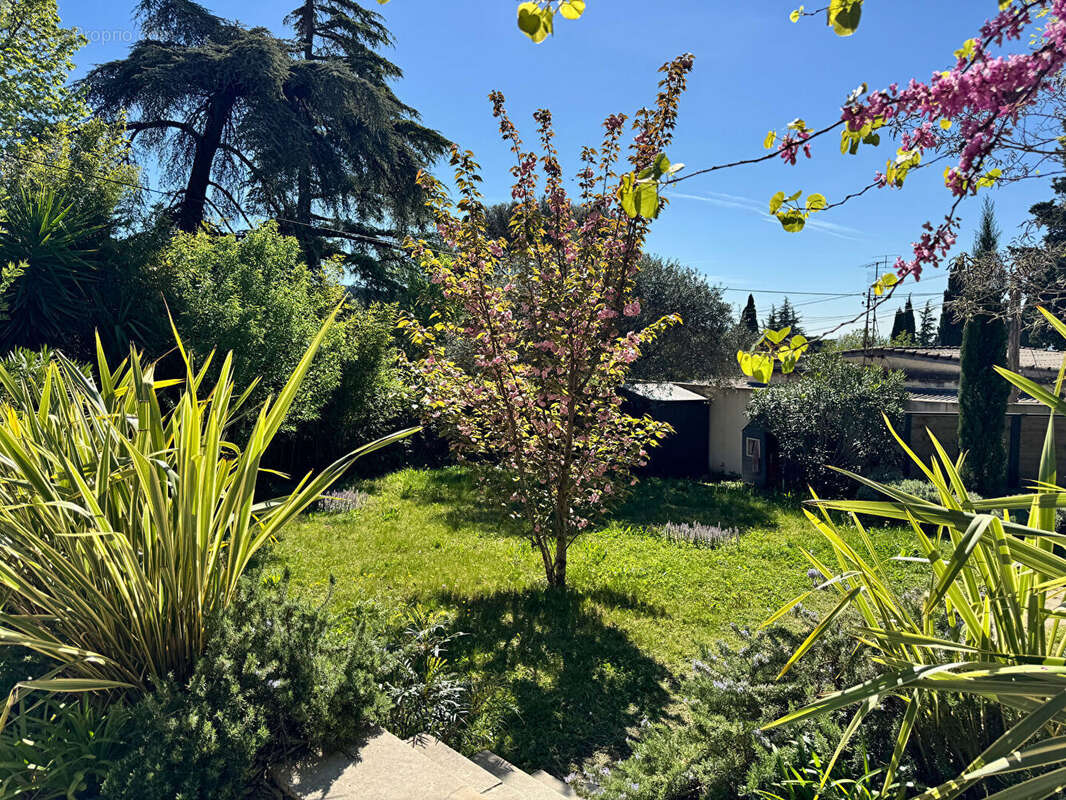 Maison à VILLENEUVE-LES-AVIGNON