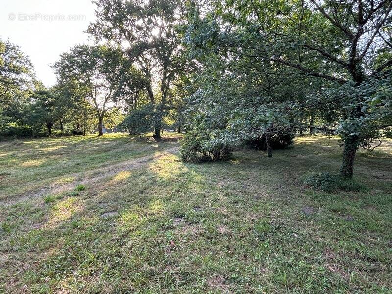 Terrain à SAINT-PAUL-LES-DAX