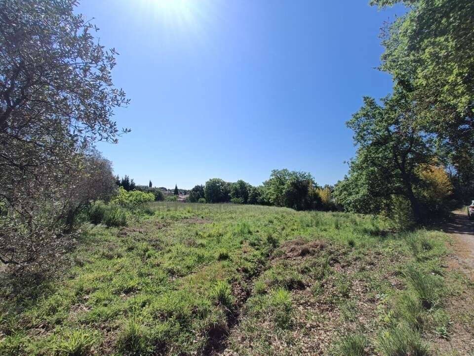 Terrain à PUGET-SUR-ARGENS