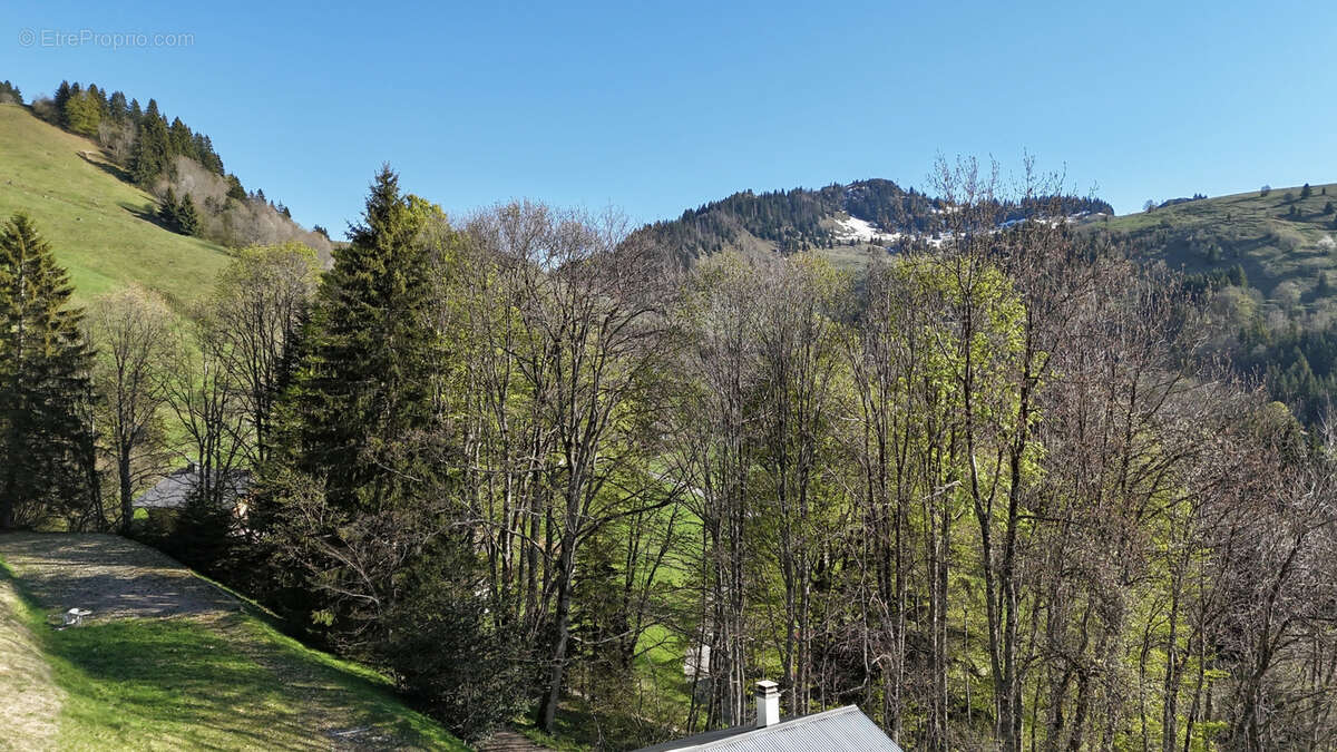 Maison à HABERE-LULLIN