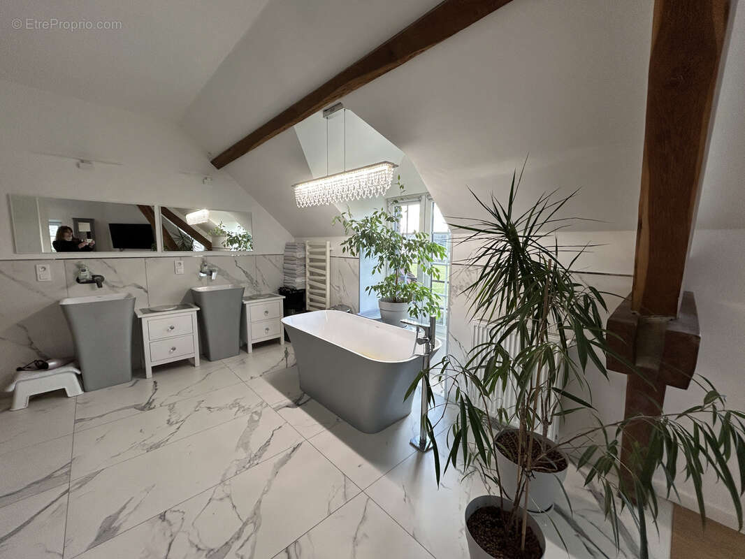 Maison à LAFERTE-SUR-AUBE