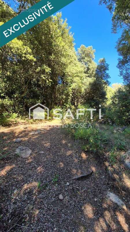 Photo 7 - Terrain à PIETROSELLA