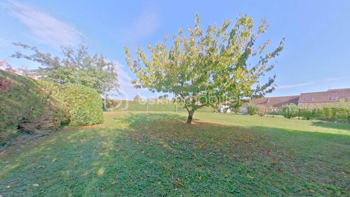 Maison à VILLENEUVE-L'ARCHEVEQUE