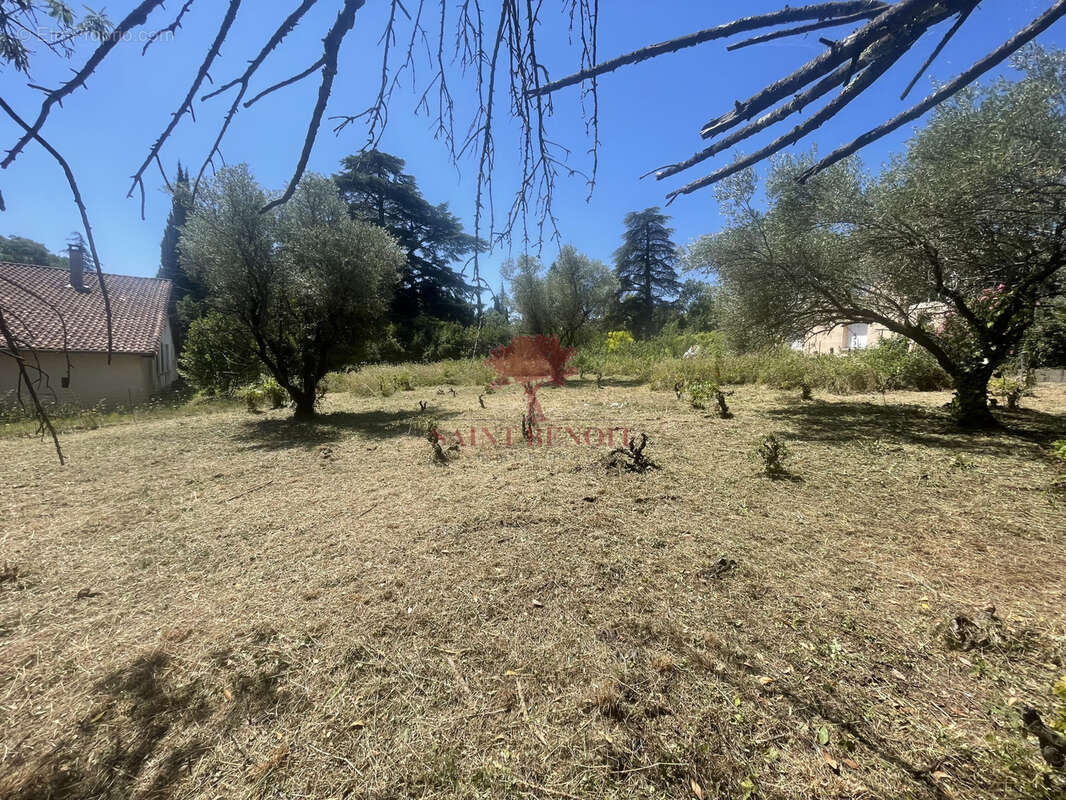 Terrain à LODEVE