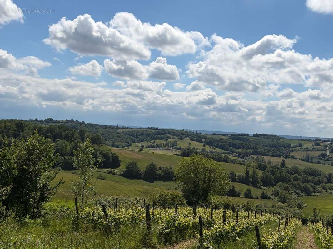 PLAISANCE (32); AUTHENTIQUE MAISON GASCONNE 300M2 dans son jus, un peu cachée, 1HA grandes dependances - photo 24