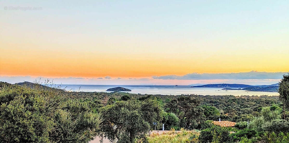Ste lucie de porto vecchio : vente de 5 villas de 2500m2 sur terrain de luxe - photo 3