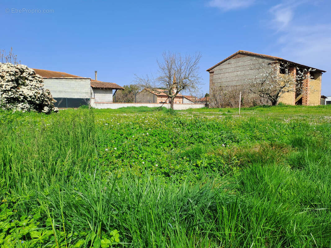 Terrain à SAINT-CLAR-DE-RIVIERE