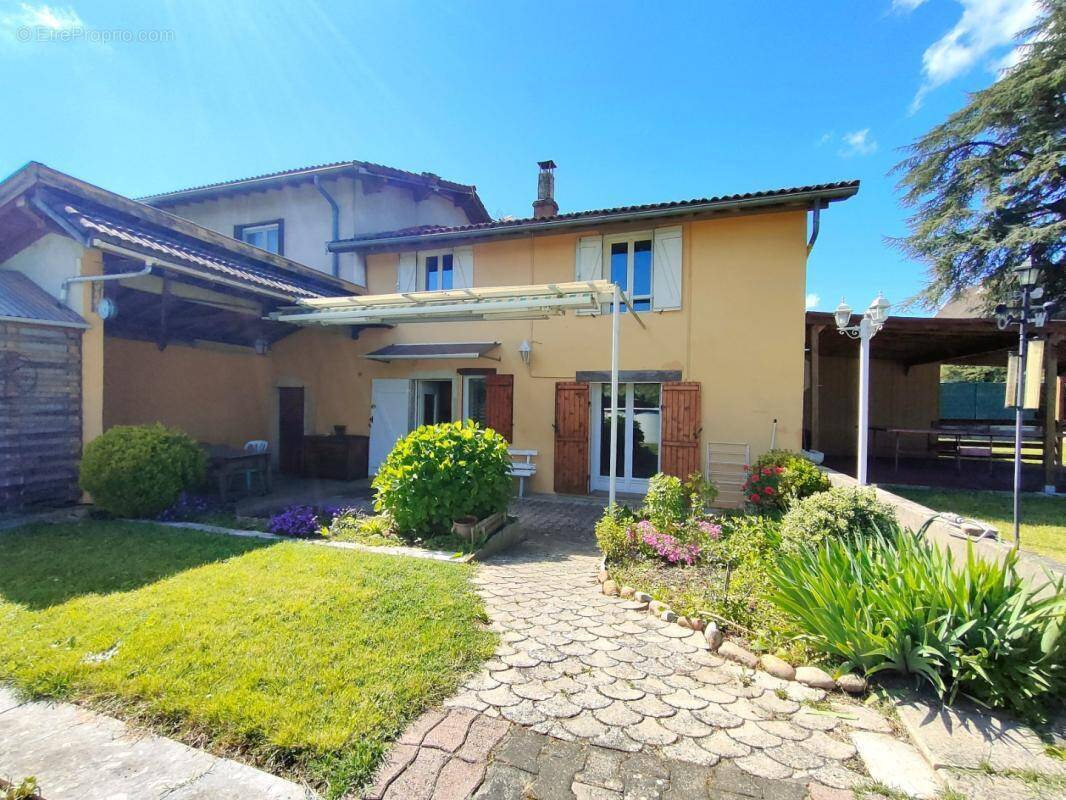 Maison à VILLIEU-LOYES-MOLLON