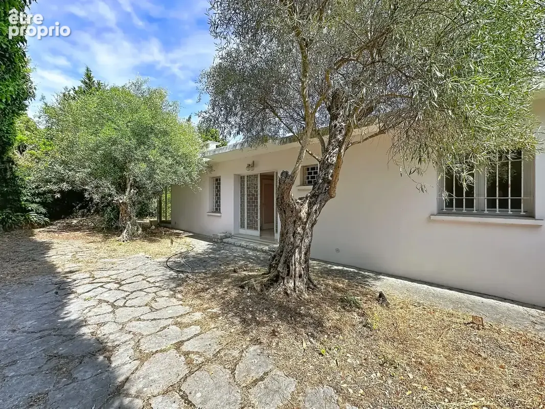 Vence   Californienne, Vue Mer & Potentiel - photo 4