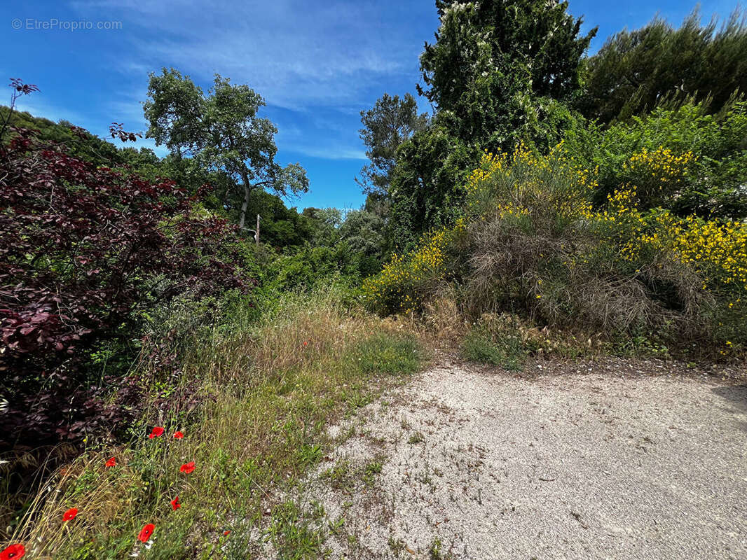 Terrain à VILLENEUVE-LES-AVIGNON